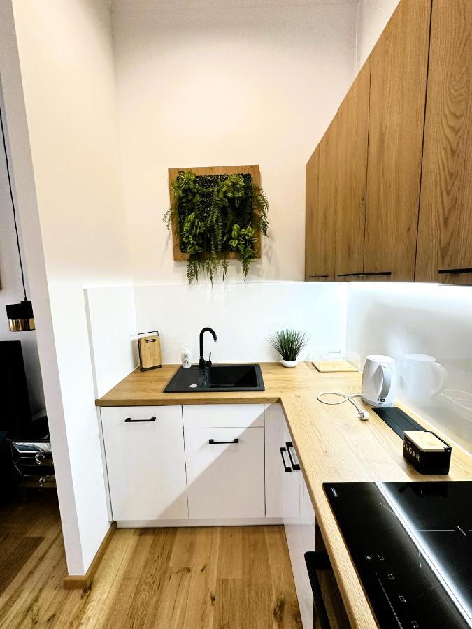 Apartamenty Dream Place Z Klimatyzacja Torun Bagian luar foto